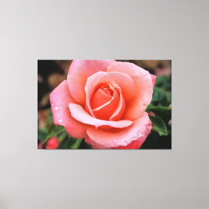 Romantic Rose Botanical Art Print