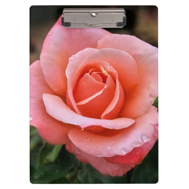Romantic Rose Botanical Art Print Clipboard (Front)