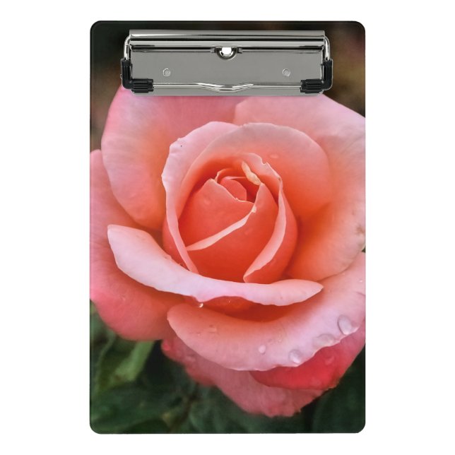 Romantic Rose Botanical Art Print Mini Clipboard (Front)