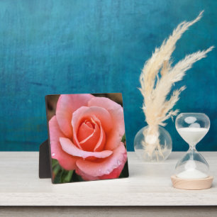 Romantic Rose Botanical Art Print Plaque