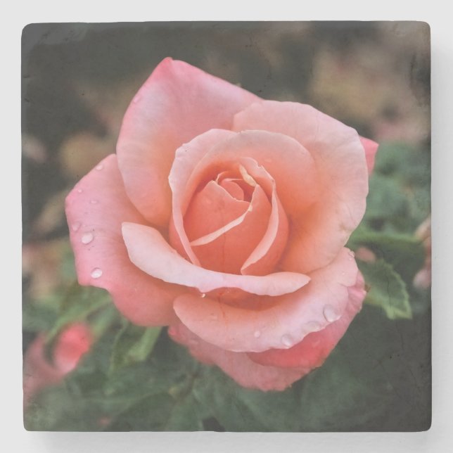 Romantic Rose Botanical Art Print Stone Coaster (Front)