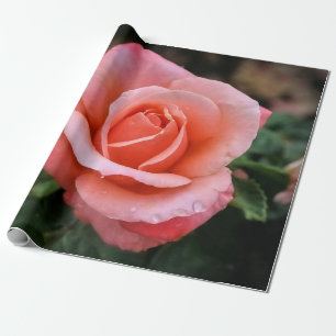 Romantic Rose Botanical Art Print Wrapping Paper