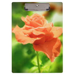 Romantic Rose Flowers #2 Clipboard