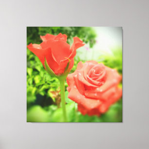 Romantic Rose Flowers Canvas Print