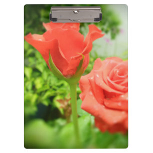 Romantic Rose Flowers Clipboard