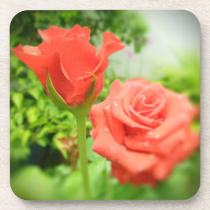 Romantic Rose Flowers Coaster