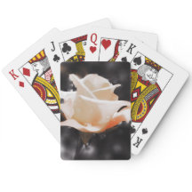 Romantic Rose Flowers