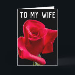 ROMANTIC ROSE WIFE BIRTHDAY GREETING CARDS<br><div class="desc">ROSE ROMANTIC WIFE BIRTHDAY CARD. INSIDE READS: I LOVE YO!U! HAPPY BIRTHDAY!</div>