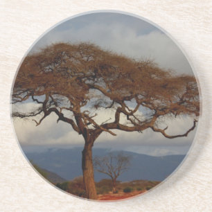 Romantic Safari Africa Bridal Shower Custom Peace Coaster