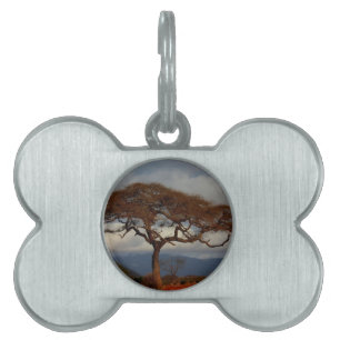 Romantic Safari Africa Bridal Shower Custom Peace Pet Name Tag