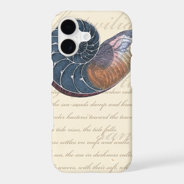 Romantic Seashell (Back)