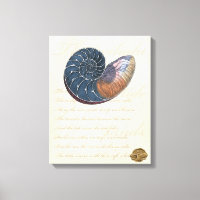 Romantic Seashell