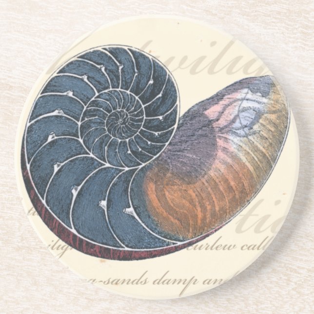 Romantic Seashell Coaster (Front)