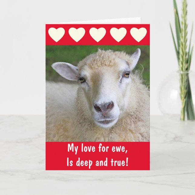Romantic Sheep True Love Valentine's Day Holiday Card (Front)