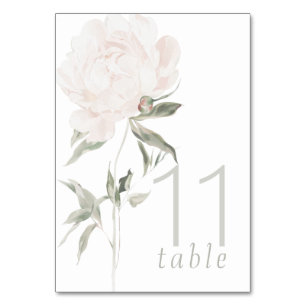Romantic Soft Blush Peony Wedding Table Number