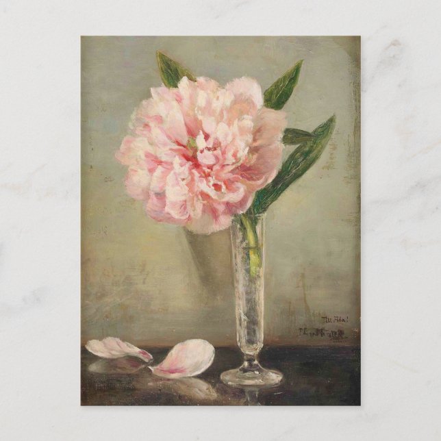 Romantic soft pink peony in vase postcard (Front)