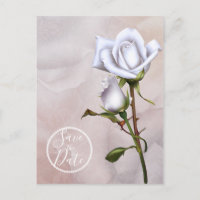 Romantic Soft White Roses Elegant Save the Date