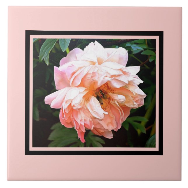 Romantic Spring Peony in Pale Peach Tile (Front)