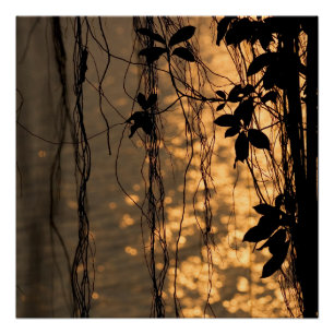 Romantic Sunset Poster