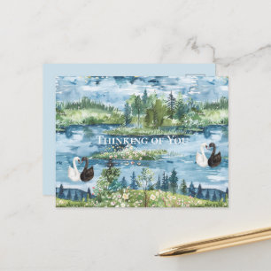 Romantic Swans Blue Lake   Postcard
