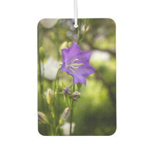 Romantic Trees & Flowers – Botanical Fantasy Boho  Car Air Freshener