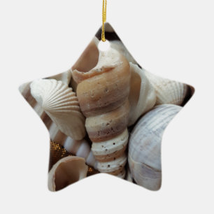 Romantic Tropical Exotic Sea Shells Beach Love Ceramic Tree Decoration