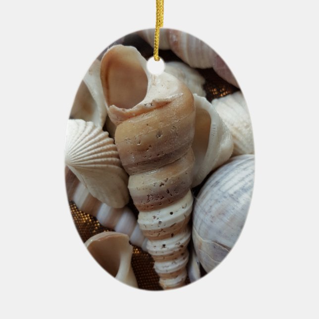 Romantic Tropical Exotic Sea Shells Beach Love Ceramic Tree Decoration (Front)