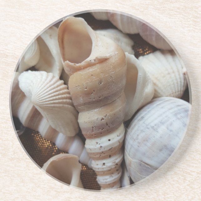 Romantic Tropical Exotic Sea Shells Beach Love Coaster (Front)