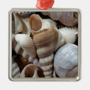 Romantic Tropical Exotic Sea Shells Beach Love Metal Tree Decoration