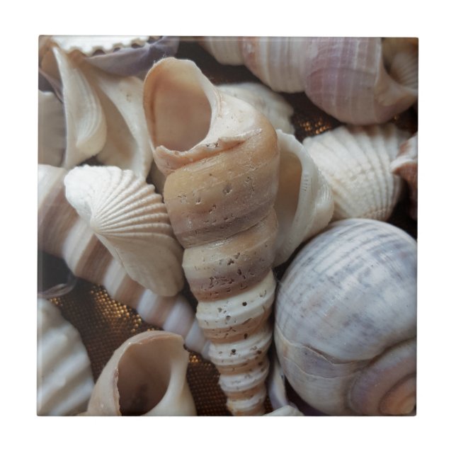 Romantic Tropical Exotic Sea Shells Beach Love Tile (Front)