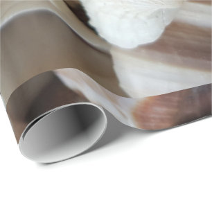 Romantic Tropical Exotic Sea Shells Beach Love Wrapping Paper