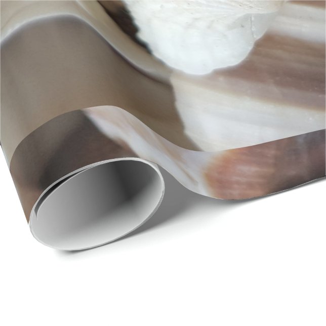 Romantic Tropical Exotic Sea Shells Beach Love Wrapping Paper (Roll Corner)