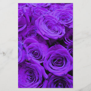 romantic violet purple roses, pretty rose bouquet
