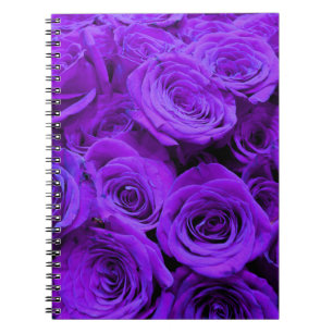 romantic violet purple roses, pretty rose bouquet spiral notebook