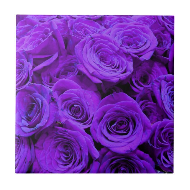 romantic violet purple roses, pretty rose bouquet tile (Front)