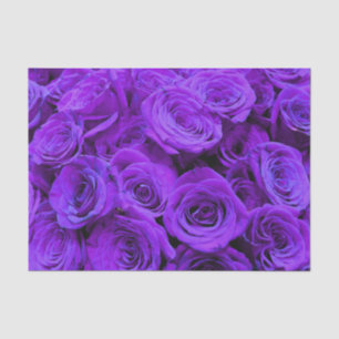 romantic violet purple roses, pretty rose bouquet tissue paper