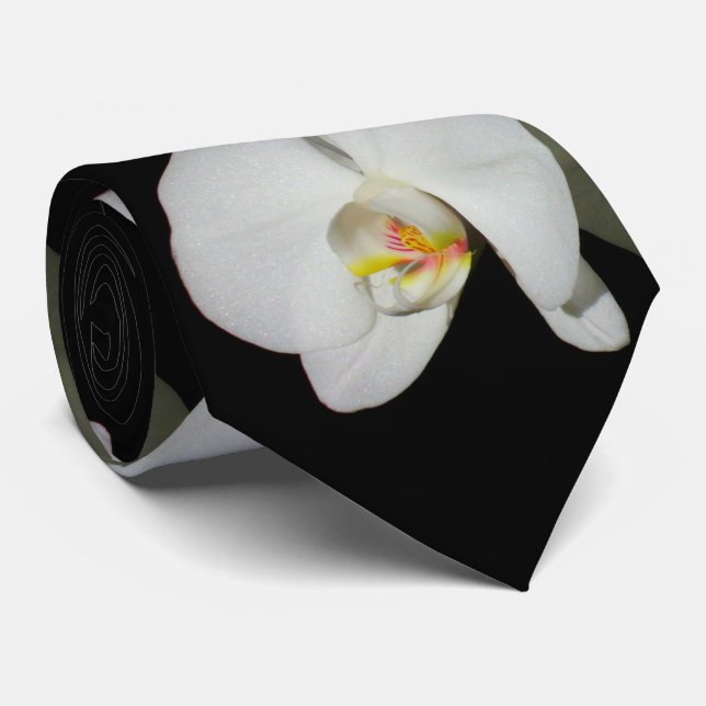 Romantic White Orchids, tropical floral photo Tie (Rolled)