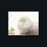 Romantic White Rose Canvas Print<br><div class="desc">Romantic white rose photograph.</div>