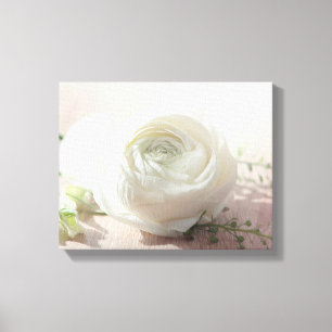 Romantic White Rose Canvas Print