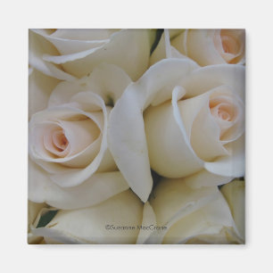 Romantic White Roses ~ Square Magnet