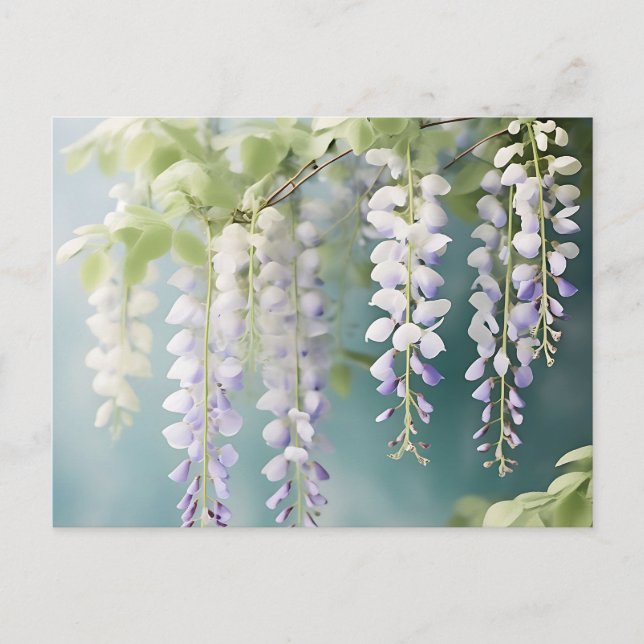 Romantic Wisteria Vine Watercolor on Dusty Blue Postcard (Front)