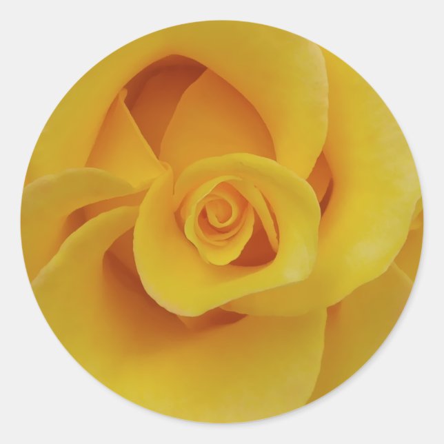 Romantic Yellow Rose Petals Classic Round Sticker (Front)