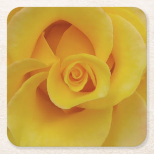 Romantic Yellow Rose Petals Square Paper Coaster
