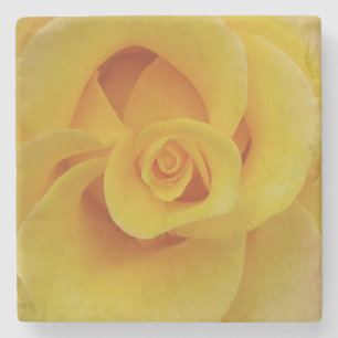 Romantic Yellow Rose Petals Stone Coaster