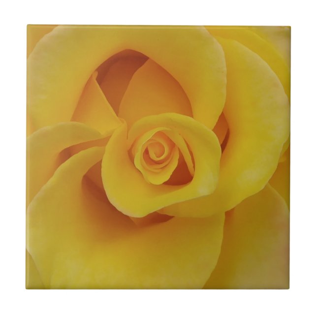 Romantic Yellow Rose Petals Tile (Front)