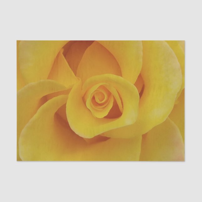 Romantic Yellow Rose Petals Tissue Paper (Front)