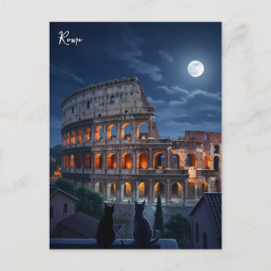 Rome Colosseum cats at Night Postcard