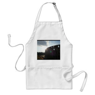 Rome Colosseum Standard Apron