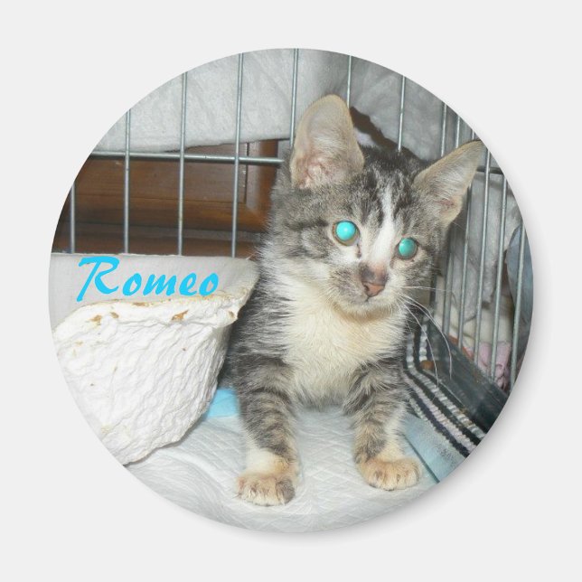 romeo circle magnet (Front)