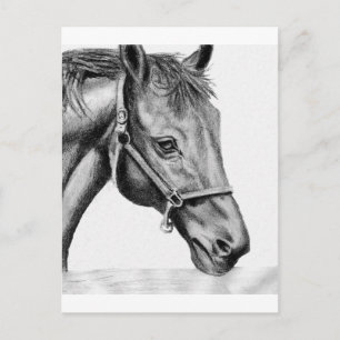 Romeo Postcard